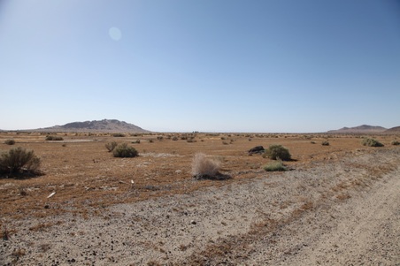 Enlarge photo 35