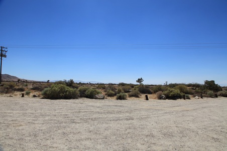 Enlarge photo 79