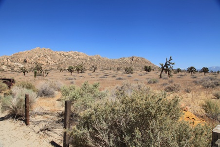 Enlarge photo 116