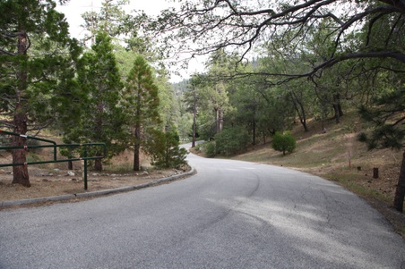 Enlarge photo 2