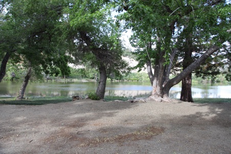 Enlarge photo 5