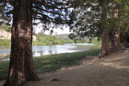 Enlarge photo 8