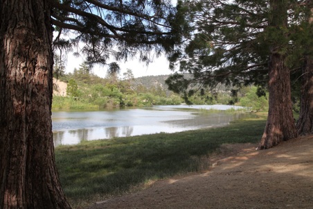 Enlarge photo 10