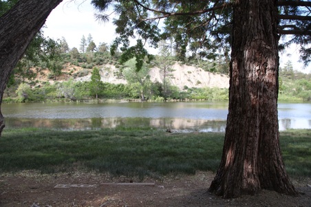 Enlarge photo 11