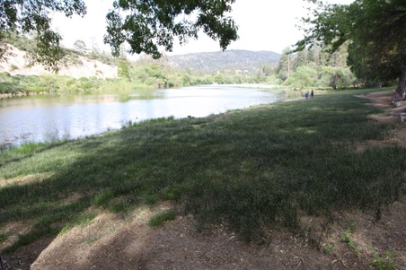 Enlarge photo 13