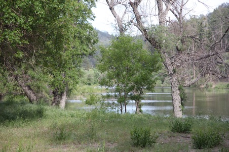 Enlarge photo 21