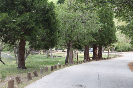 Enlarge photo 23