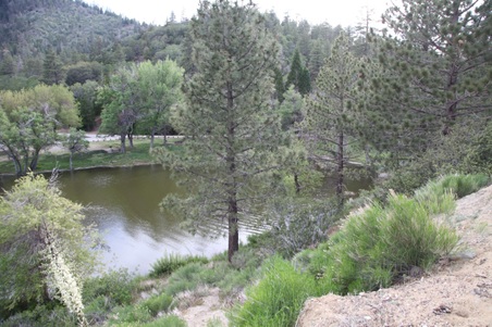 Enlarge photo 24