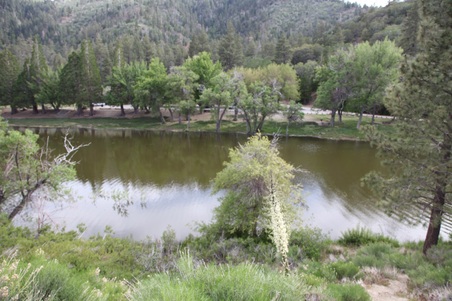 Enlarge photo 25