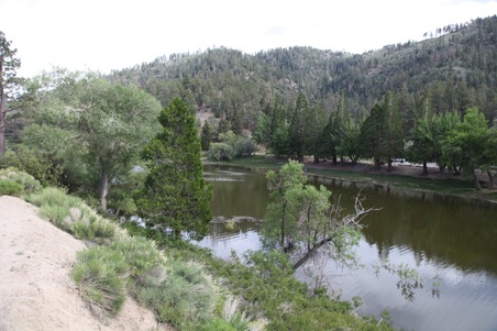 Enlarge photo 26