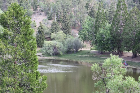 Enlarge photo 27
