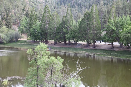 Enlarge photo 28