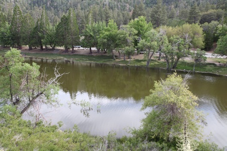 Enlarge photo 29