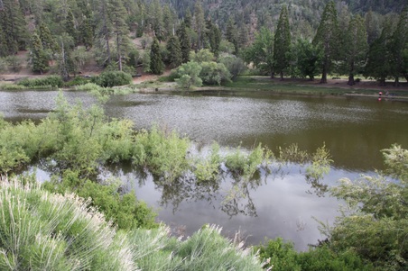 Enlarge photo 31