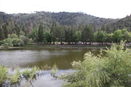 Enlarge photo 32