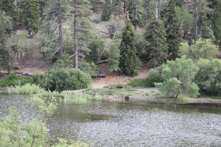 Enlarge photo 33