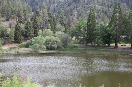 Enlarge photo 34