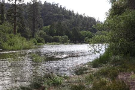 Enlarge photo 35