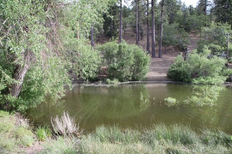 Enlarge photo 37