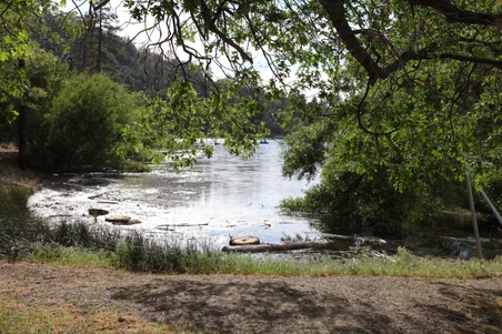 Enlarge photo 39