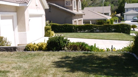 Enlarge photo 14