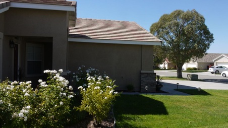 Enlarge photo 21