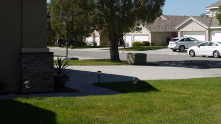 Enlarge photo 23