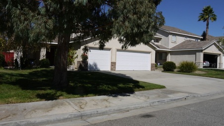 Enlarge photo 46
