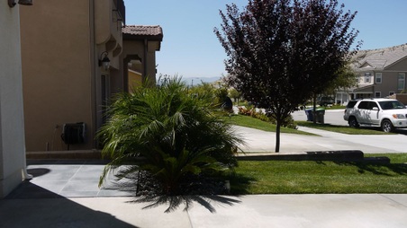 Enlarge photo 24