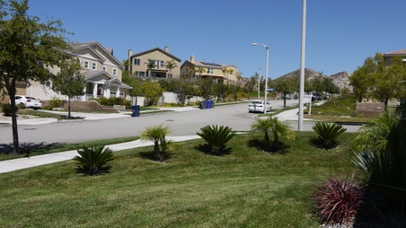 Enlarge photo 29