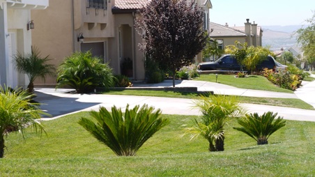 Enlarge photo 43