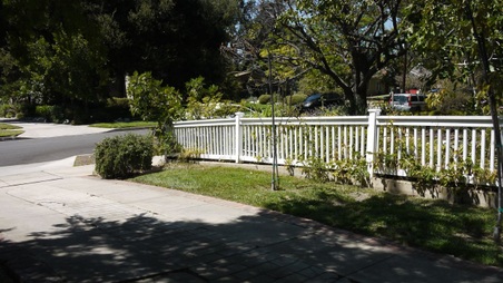 Enlarge photo 23