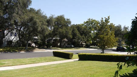 Enlarge photo 14