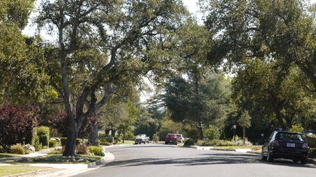 Enlarge photo 21
