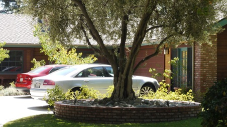 Enlarge photo 27