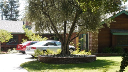 Enlarge photo 28