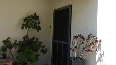 Enlarge photo 15