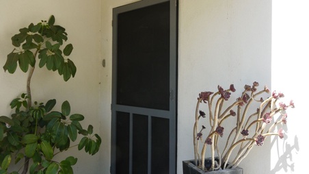 Enlarge photo 16