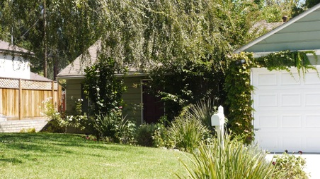 Enlarge photo 5