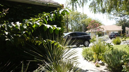 Enlarge photo 14