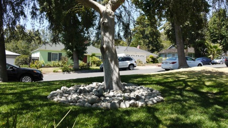 Enlarge photo 16