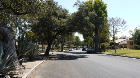 Enlarge photo 22