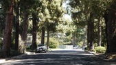 MIDWICK DR