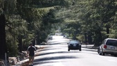 ROADS