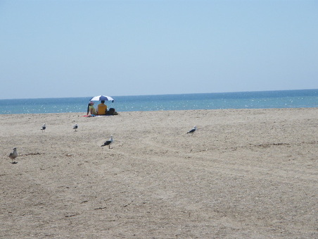 Enlarge photo 13