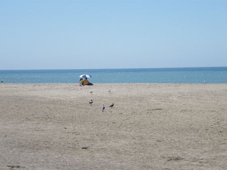 Enlarge photo 16