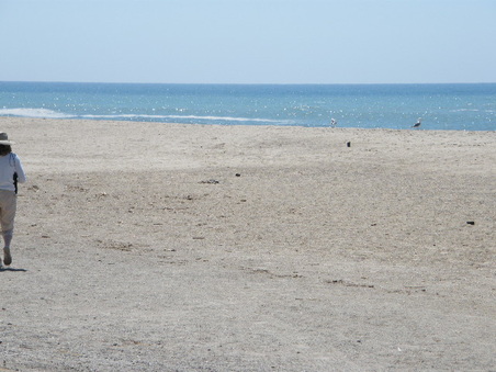 Enlarge photo 17