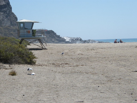 Enlarge photo 21