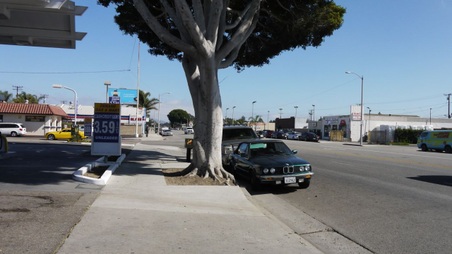 Enlarge photo 21