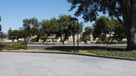 Enlarge photo 37